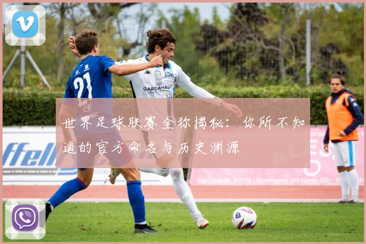 世界足球联赛全称揭秘：你所不知道的官方命名与历史渊源